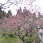 梅林公園
