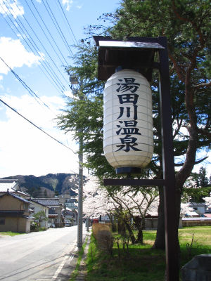 湯田川温泉の歓迎提灯