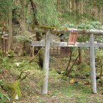 岩清水