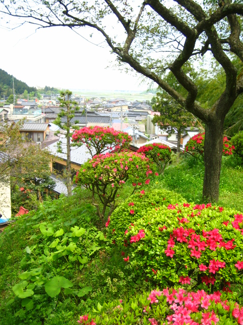梅林公園からの眺め
