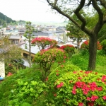 梅林公園からの眺め