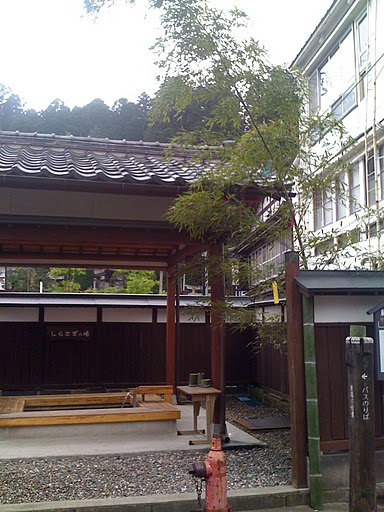 七夕飾りにの湯田川孟宗竹