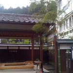 七夕飾りにの湯田川孟宗竹