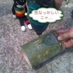 iPhone-280710-1637.jpg