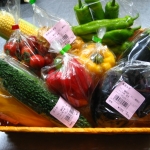 IMG_1002.JPG