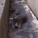iPhone-030810-2115.jpg