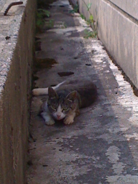 iPhone-030810-2115.jpg