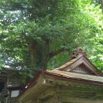 iPhone-160810-1250.jpg
