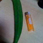 iPhone-300810-1706.jpg