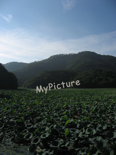 上池と高館山2010