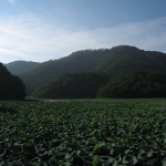 上池と高館山2010