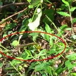 100916_010.jpg