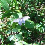 IMG_1044.JPG