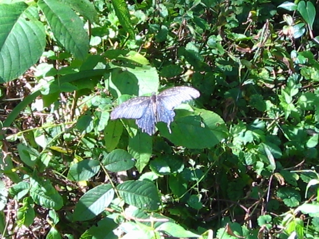 IMG_1044.JPG