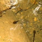 IMG_1057.JPG