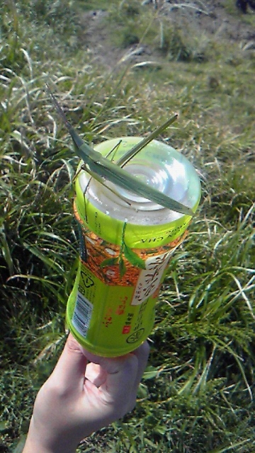 iPhone-270910-1324.jpg