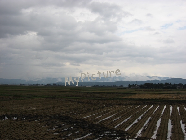 刈田の藤島2010初秋