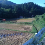 iPhone-071010-0946.jpg