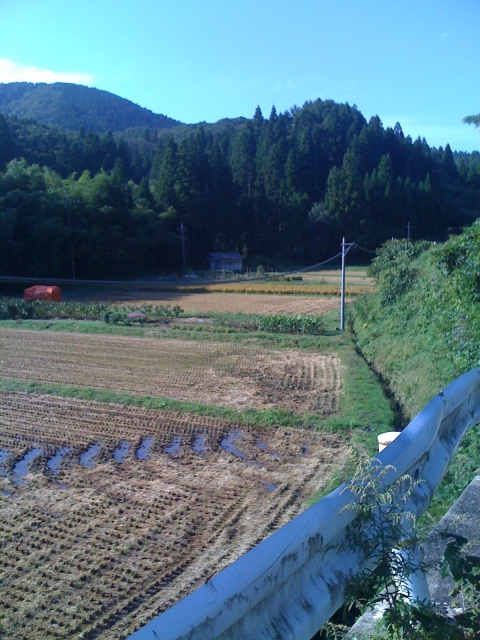 iPhone-071010-0946.jpg