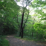IMG_3256.jpg