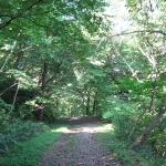IMG_3257.jpg
