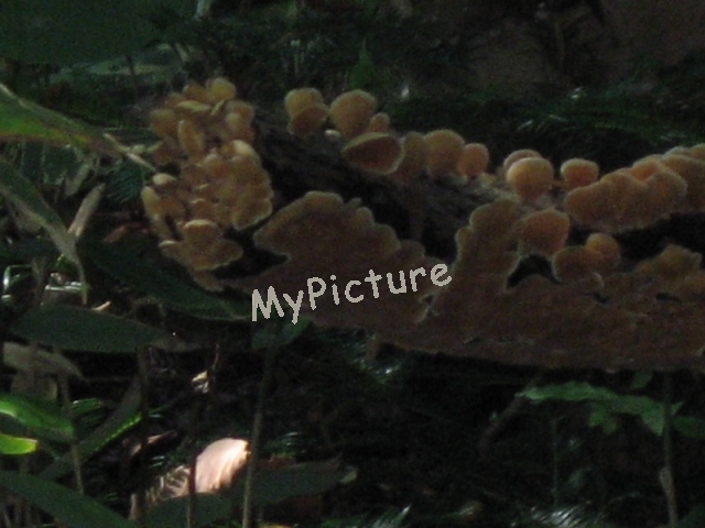 IMG_3259.jpg