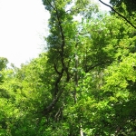 IMG_3260.jpg