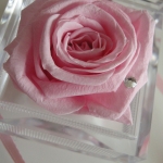 花のプレゼント　ローズボックス　　ピンク