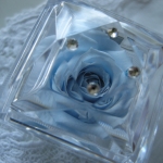 大切な人へのプレゼント　ローズボックス　　ブルー