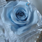 大切な人へのプレゼント　ローズボックス　　ブルー