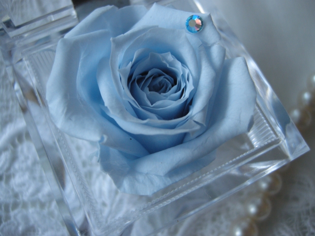 大切な人へのプレゼント　ローズボックス　　ブルー