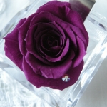 大切な人へのプレゼント　ローズボックス　　バイオレット