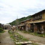 IMG_1155.JPG