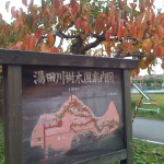 樹木園：登り口