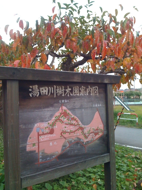 樹木園：登り口