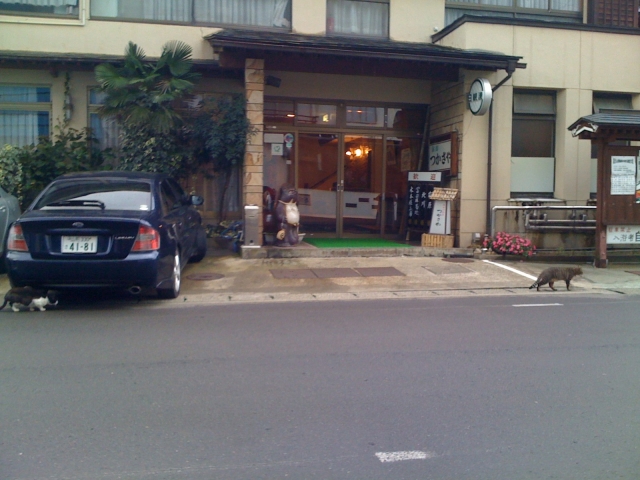 iPhone-251010-1552.jpg