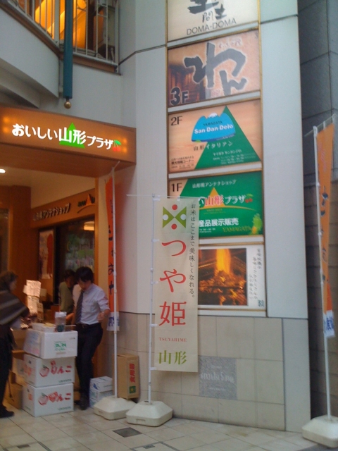 iPhone-181110-1726.jpg