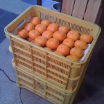 iPhone-201110-1715.jpg