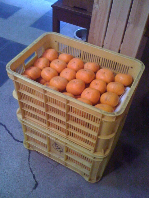 iPhone-201110-1715.jpg