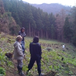 iPhone-061210-0830.jpg