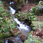 IMG_0019.JPG