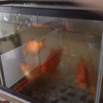 2011-01-03 001.jpg