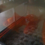 2011-01-03 002.jpg