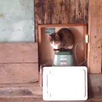 2011-01-05 004.jpg