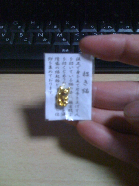 2011-01-05 005.jpg