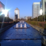2011-01-08 005.jpg