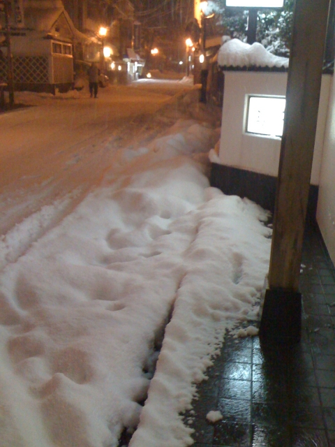2011-01-14 001.jpg
