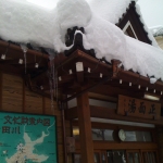 2011-01-15 002.jpg