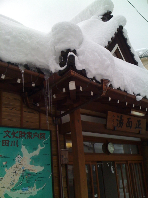 2011-01-15 002.jpg