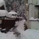 2011-01-15 001.jpg